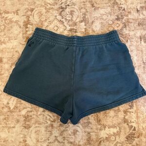 Tna Women's Blue and Green Shorts